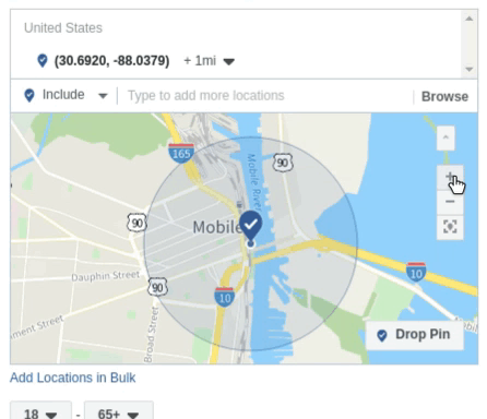 Asset Library - Edited (1)