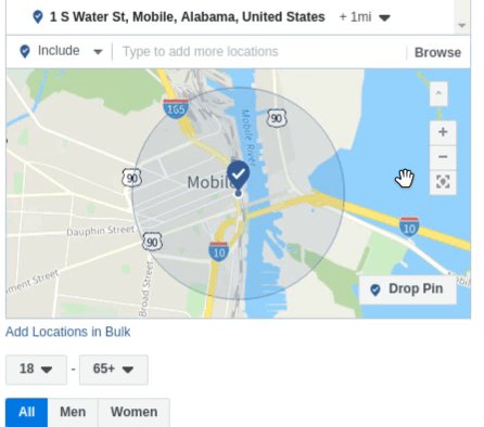 Asset Library - Edited.gif